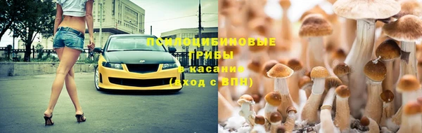 2c-b Елизово