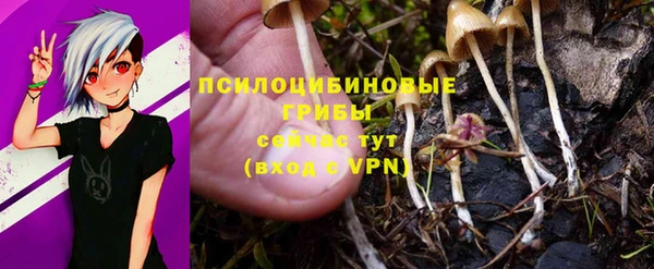 винт Дмитров