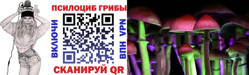 Купить  Гудермес  Галлюциногенные грибы мухоморы 