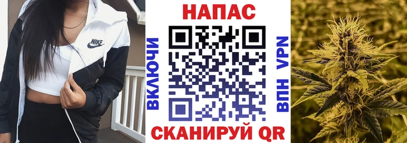 Купить  Гудермес  Бошки Шишки Ganja 